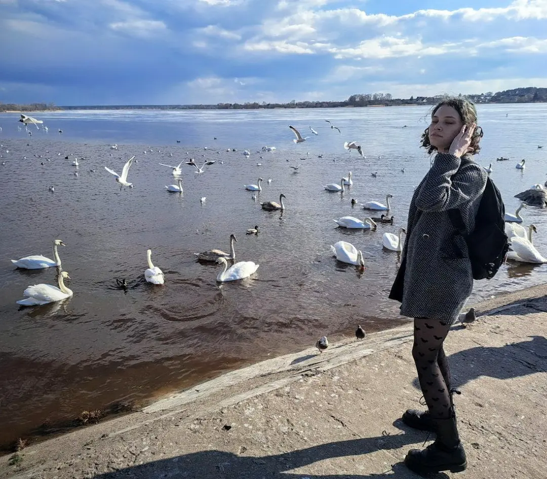 �������� ���������