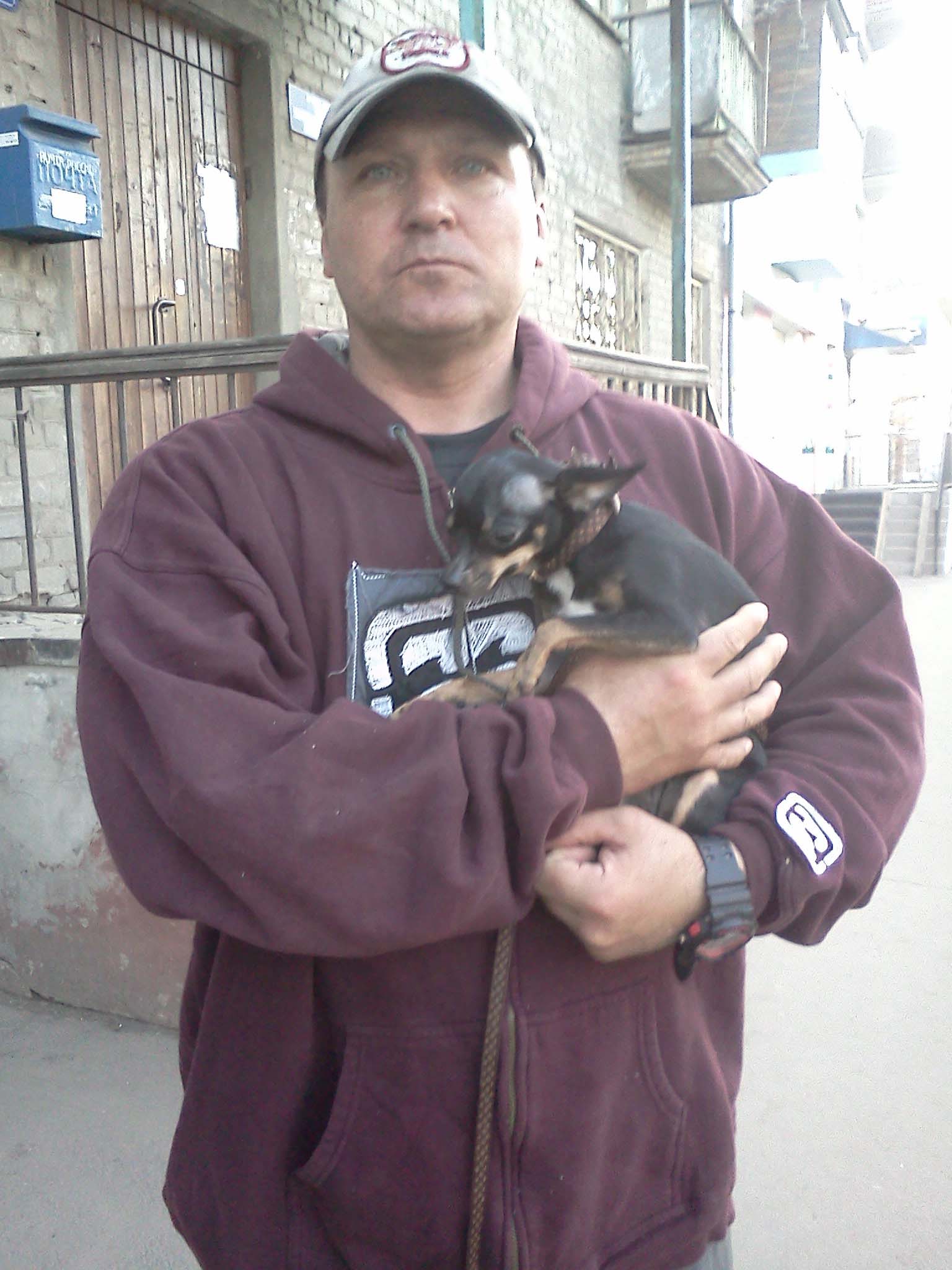 �������� ����� 62