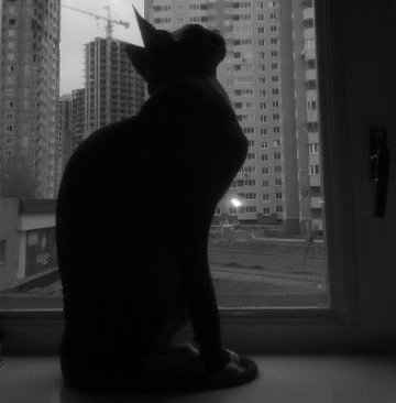 ������ ������