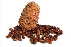 ������ �����