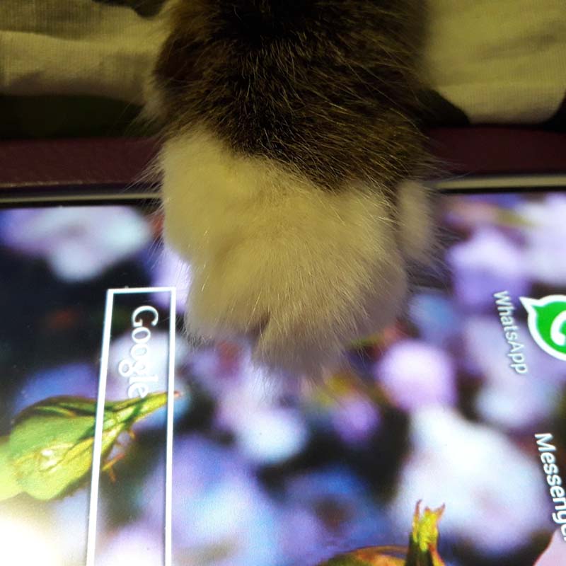 ���� ������ 3