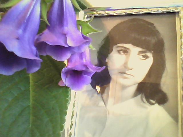 ������ �������