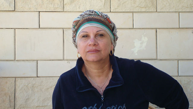 ������ ����������