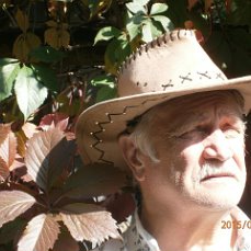 Владимир Аганин