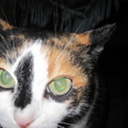 Владимир Григорьян