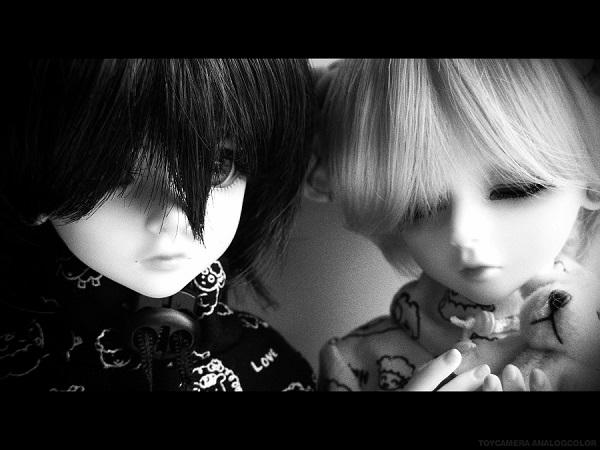 ���� �����