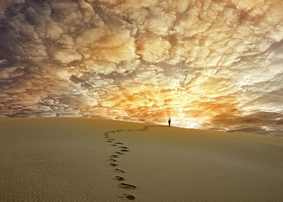 ���� ������