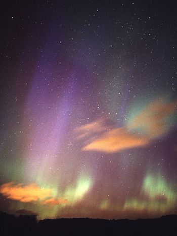 ����� ����