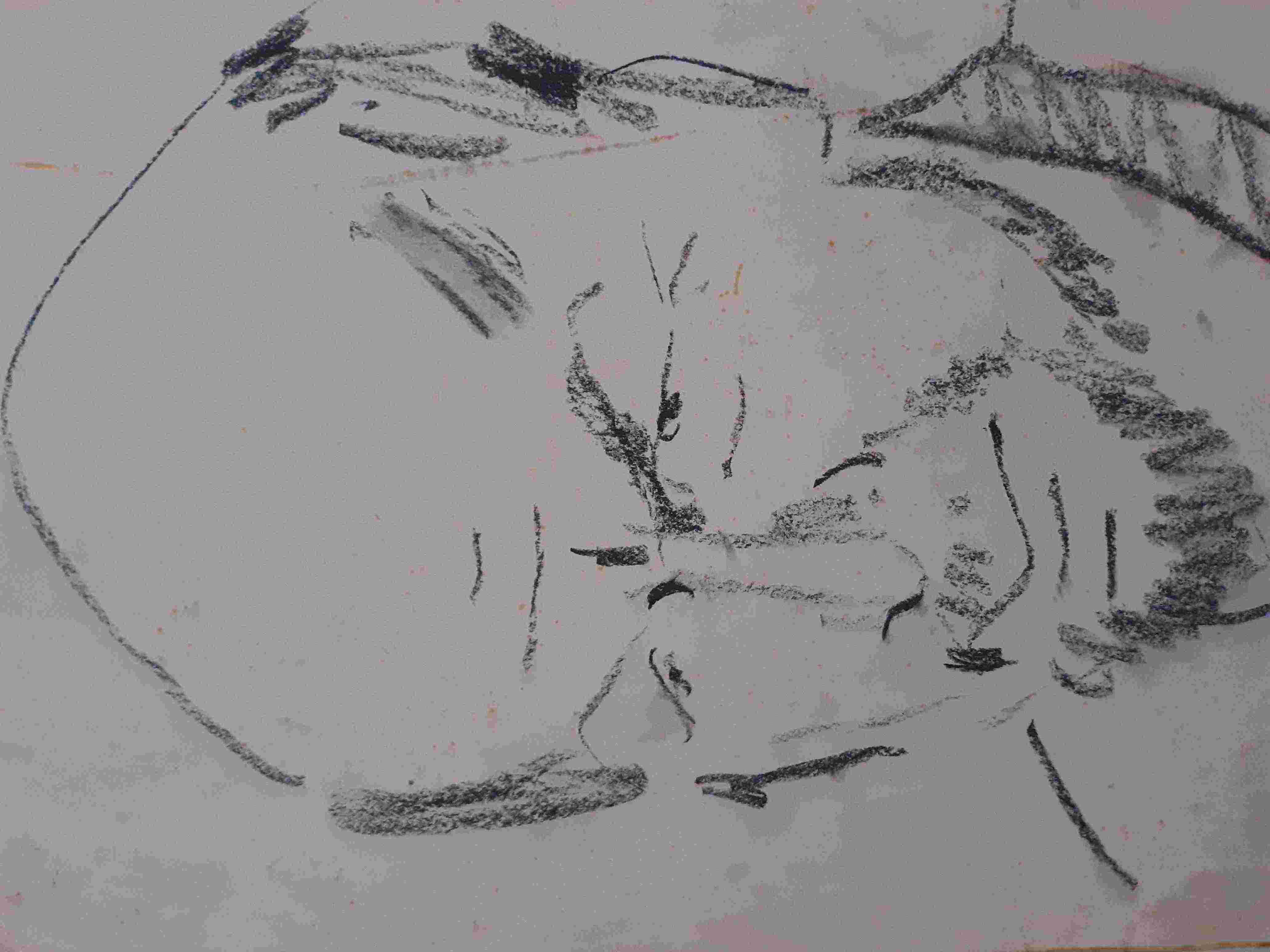 ����� ��� �����