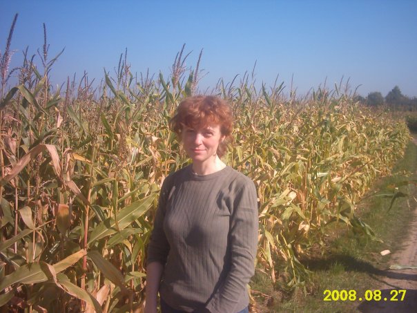 ���������� ����������