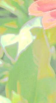 ������� �������-������