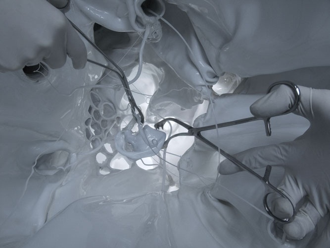 ������ ���������