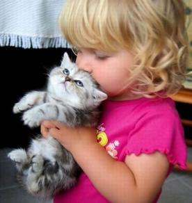 ����� �������