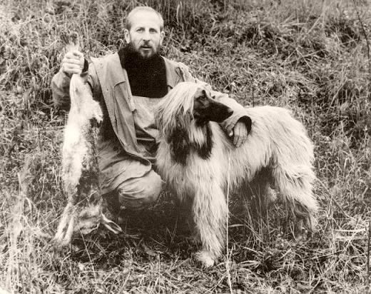 ������ �������