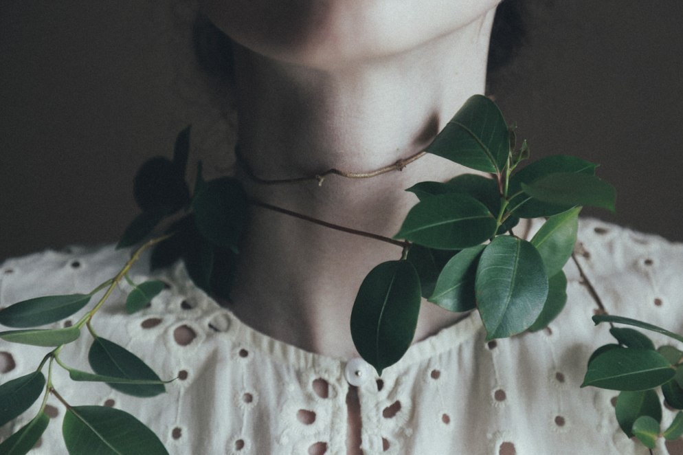 ����������� �����