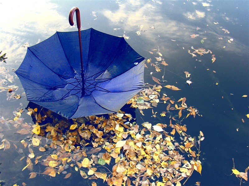 ������� ��������