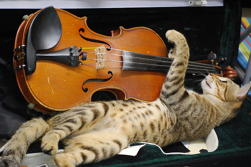 �������� ��������