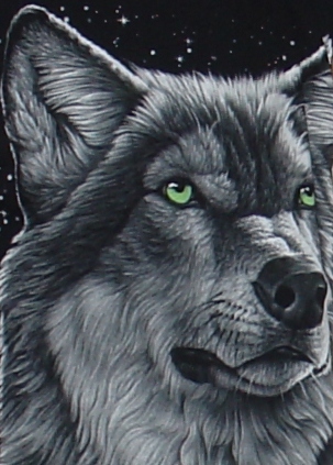 ���� ������