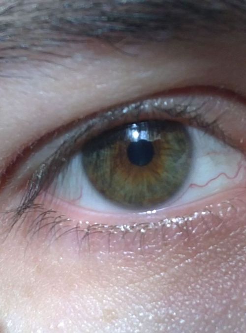 ������ �������