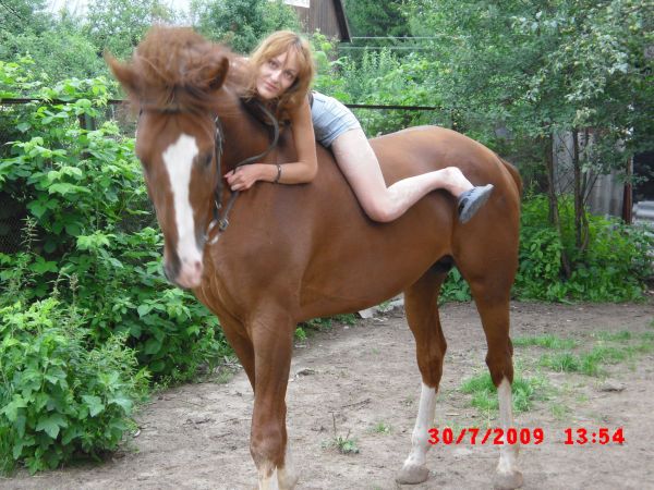 �������� ��������� 2