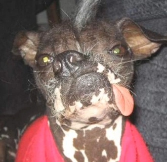 ���� ������