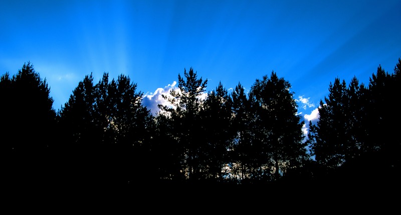 ������� ���