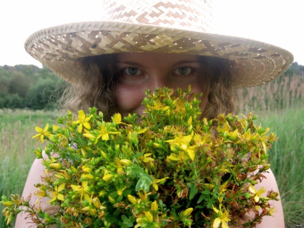 ���������� ����������