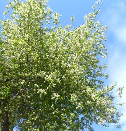 ���������� ��������