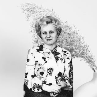 ������ ��������