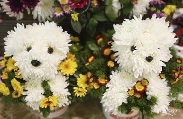 ���� �����