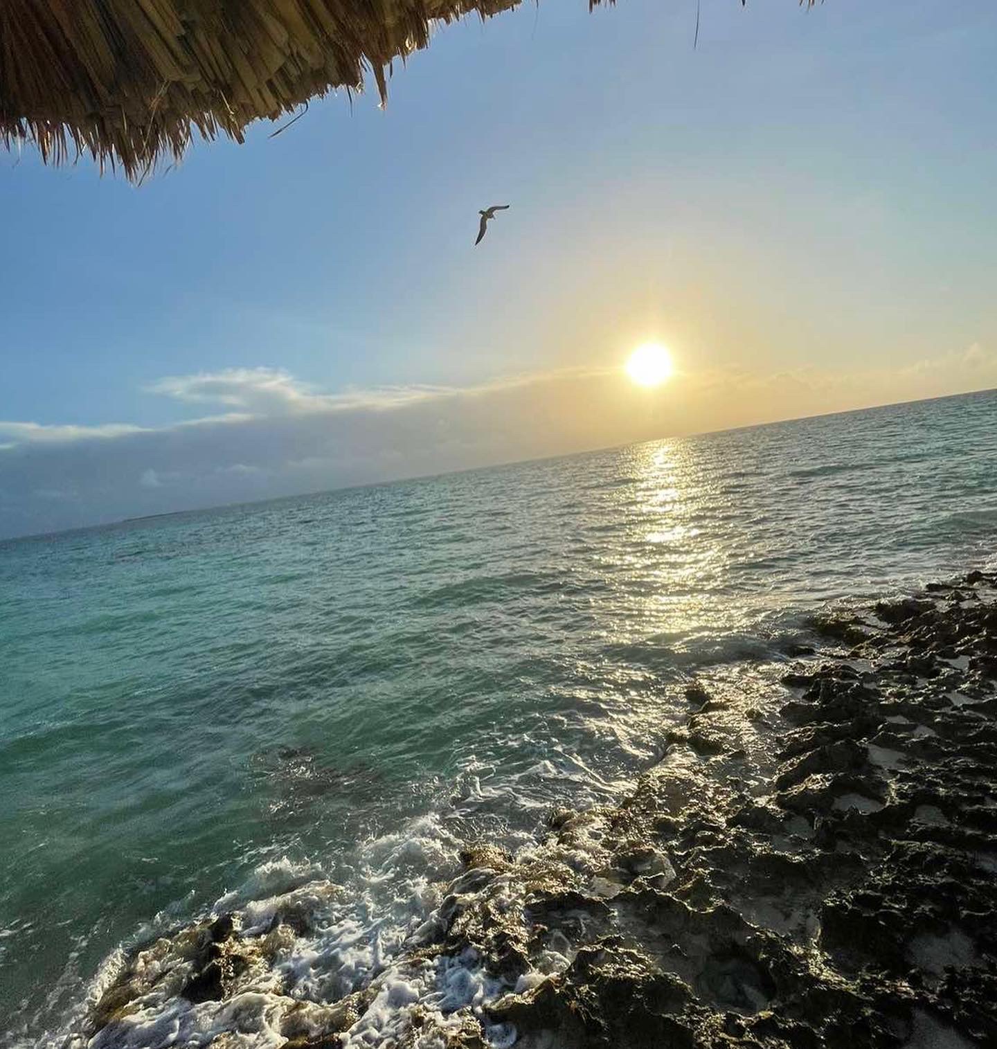 ����� �������