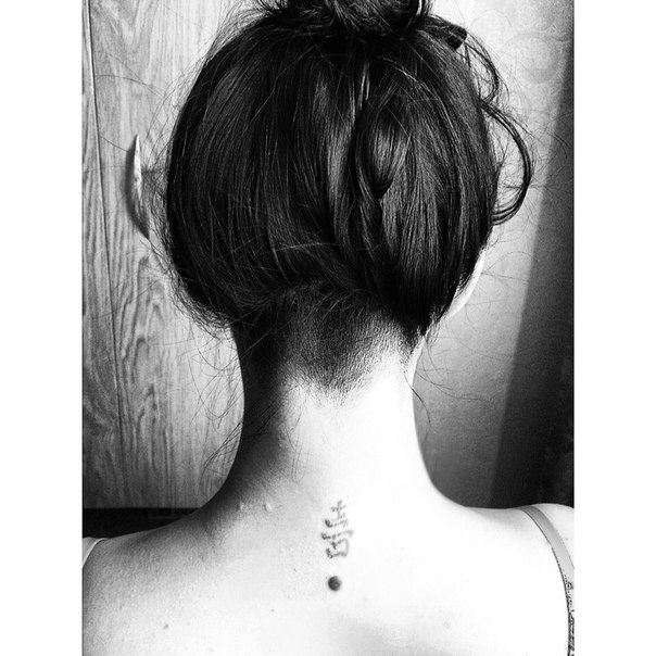 ���� ��������