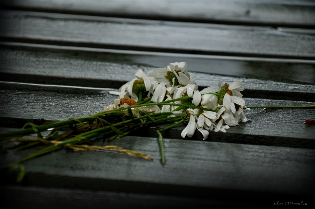 Александр Адевосян