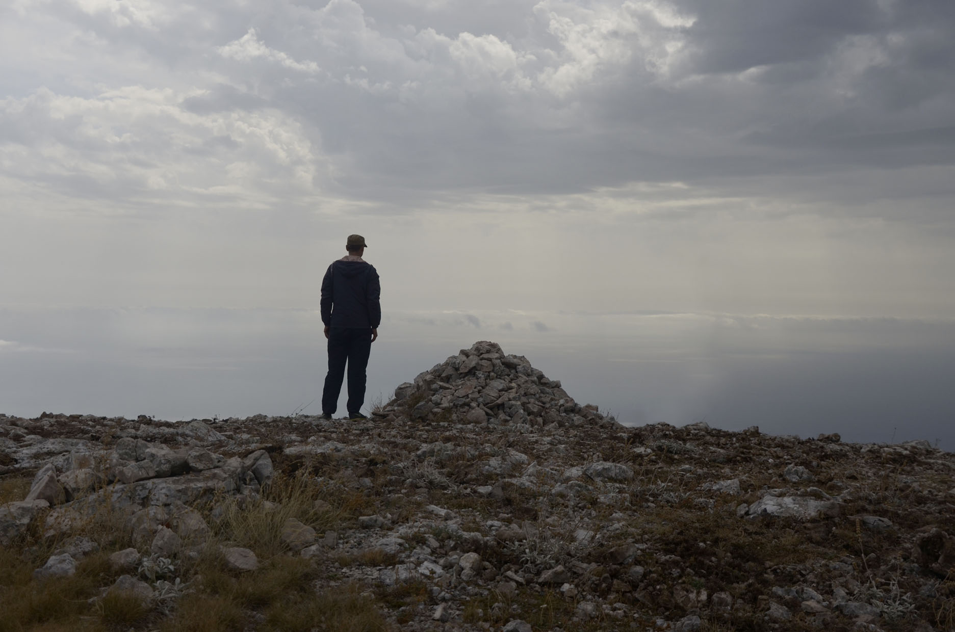 ���� ������