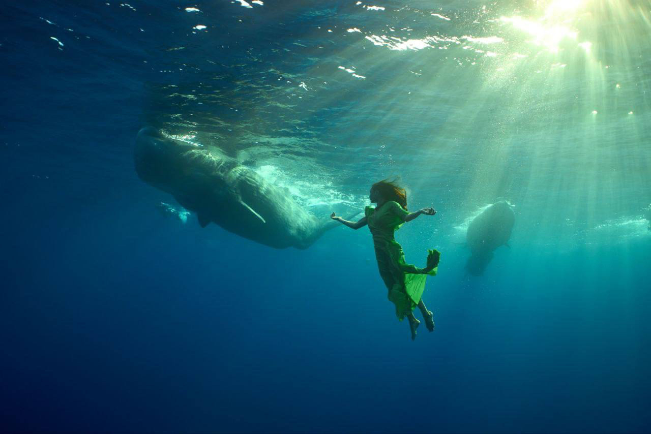 Гордеева Александра