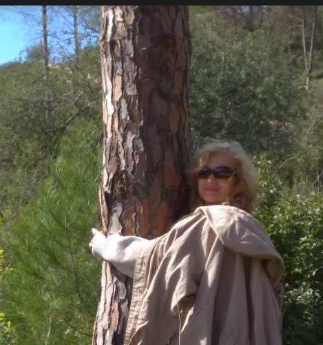 ����� ����