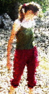 ���� ������������