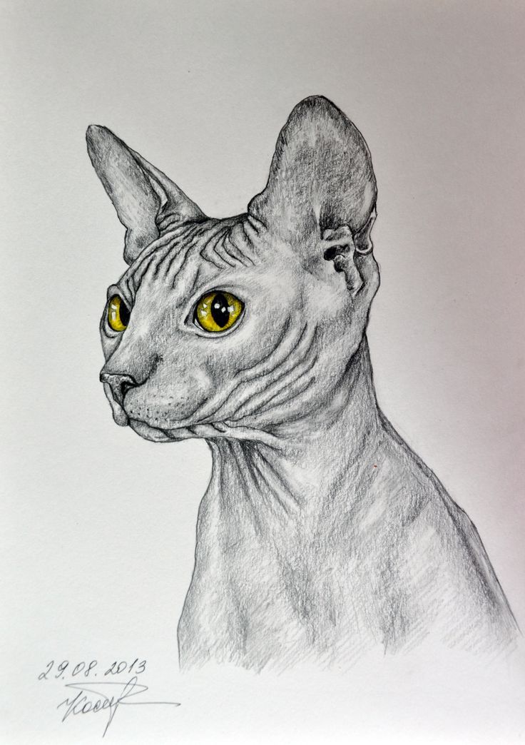 ����� ����