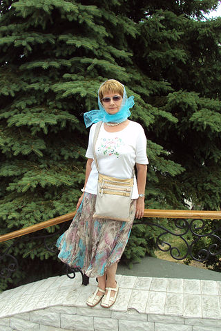 ������ ���������