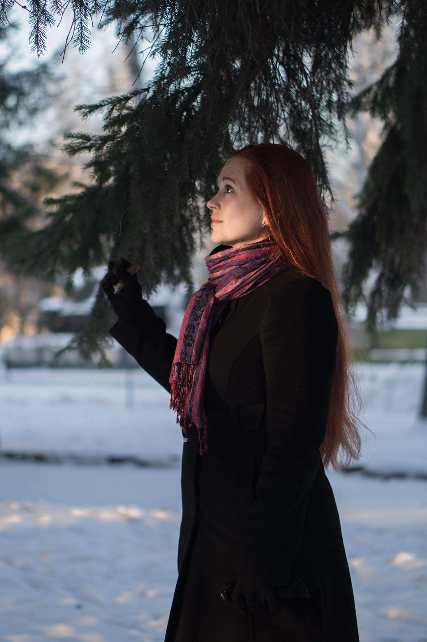 ���������� ������