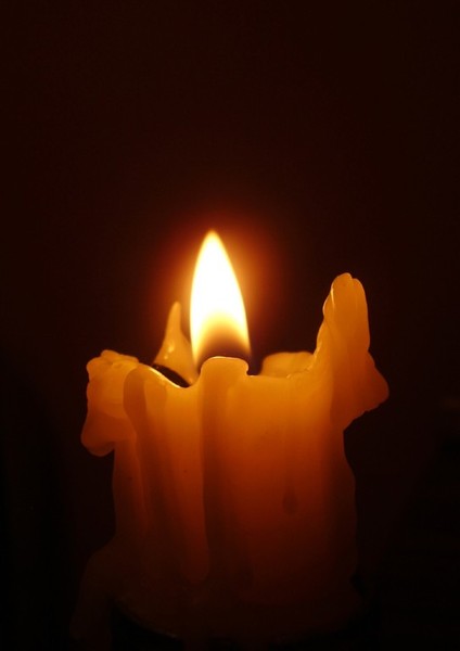 ������ ��������