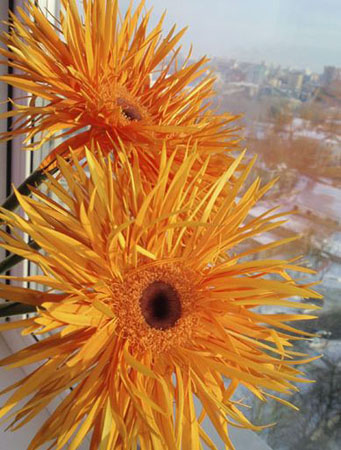 Жанна Корсунова