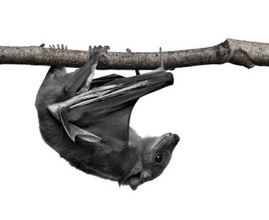 Калинина Александра