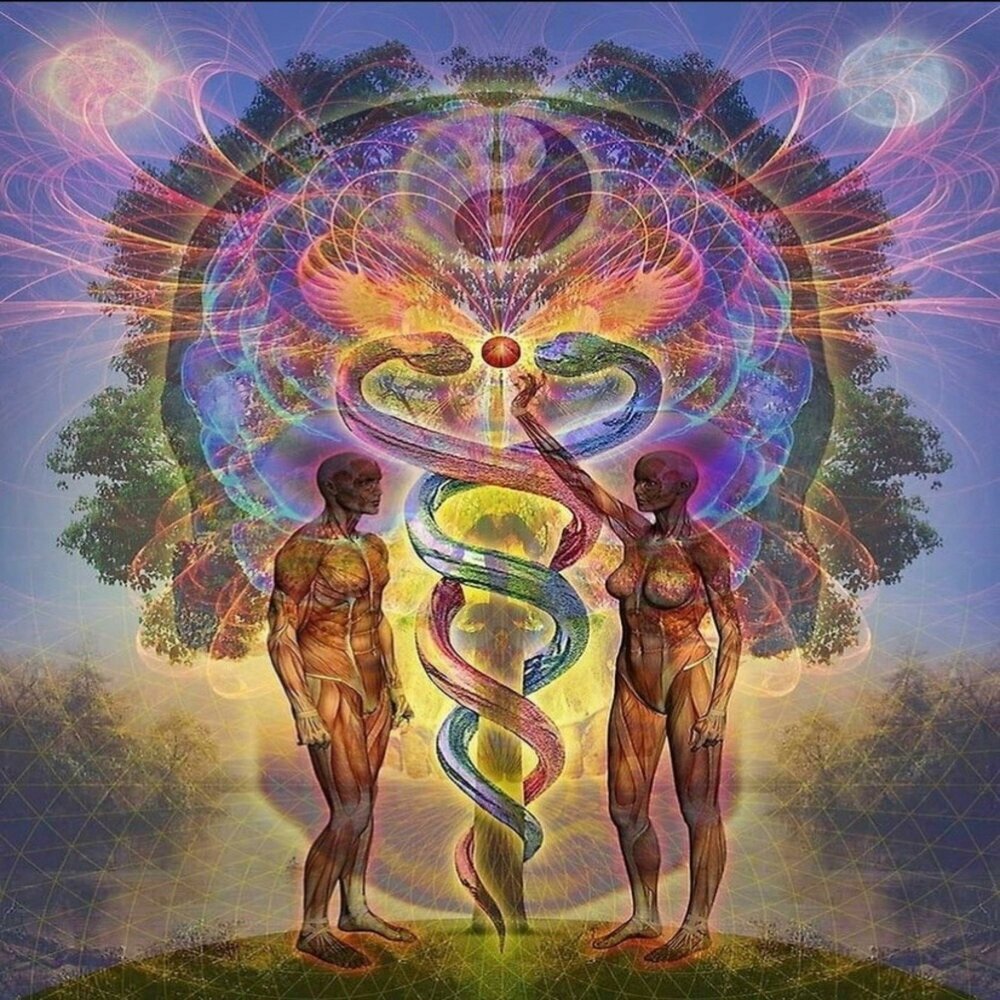 ����� ���