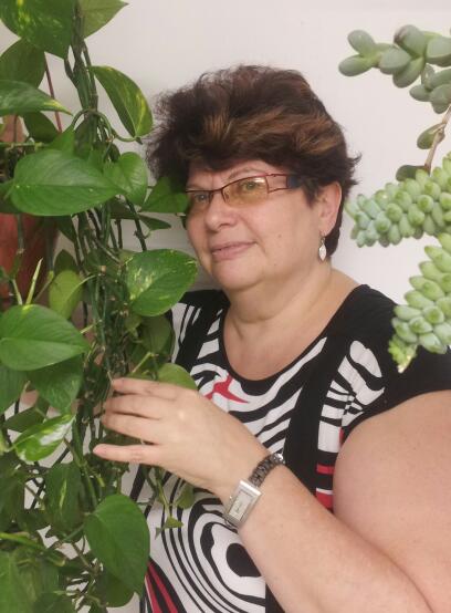 ���� ��������