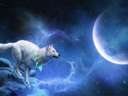 ��������� ������ ����