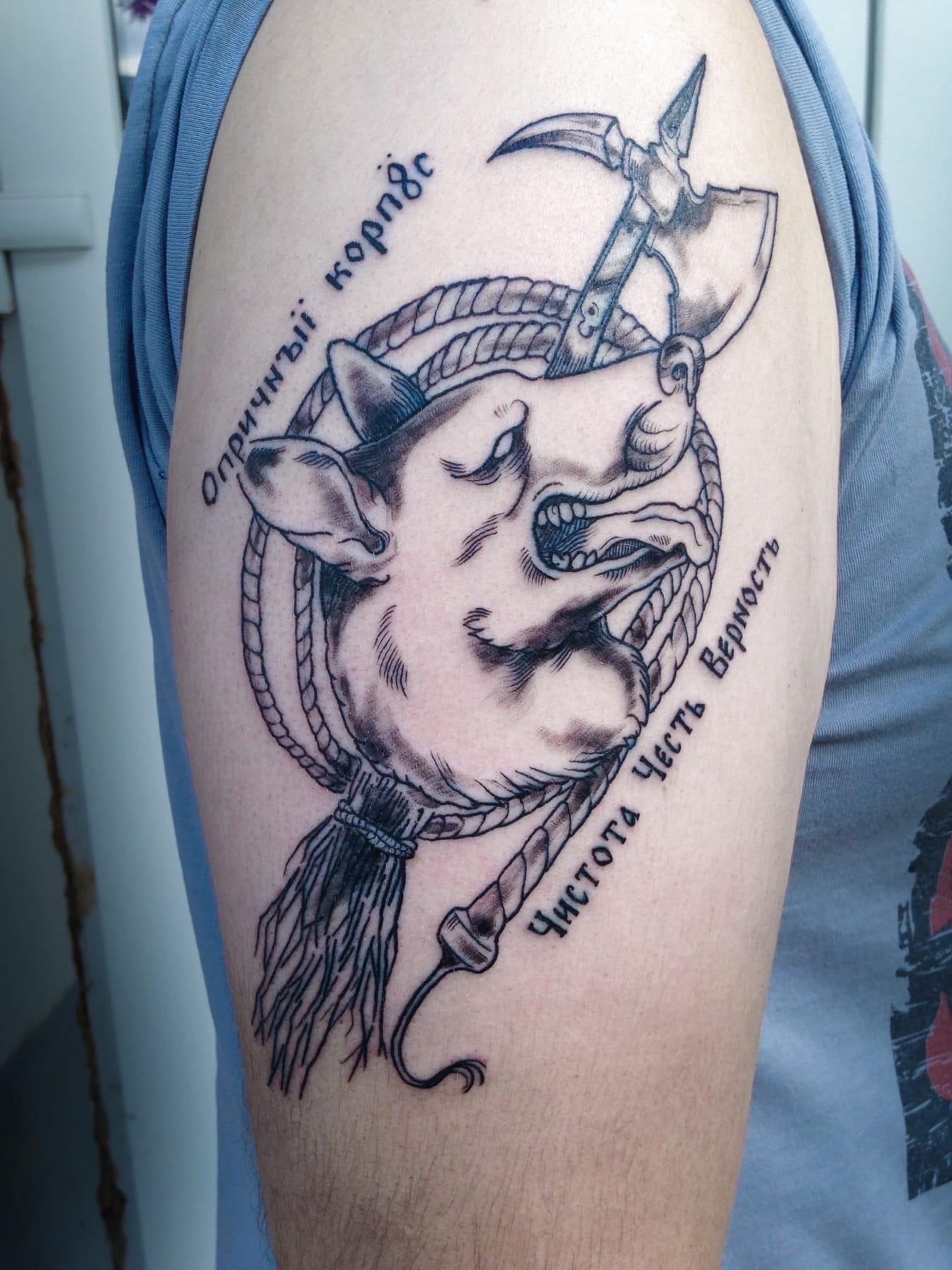 ��� ����������