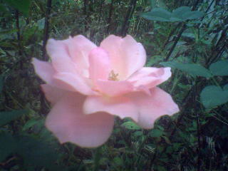 ���� ����