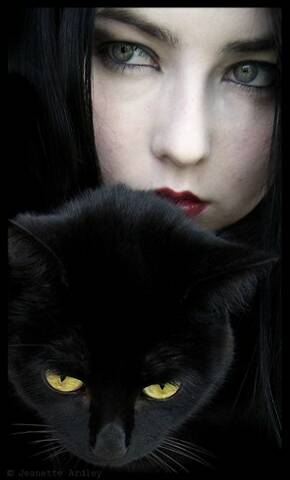 ׸�������� �������