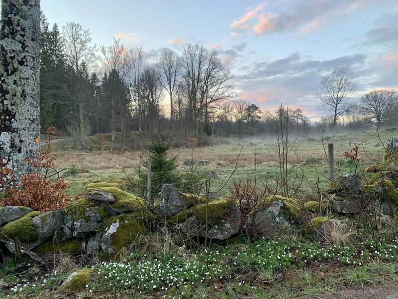 ���� ������